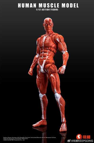 Keepgoing Human Muscle Model 1/12 Scale Action Figure