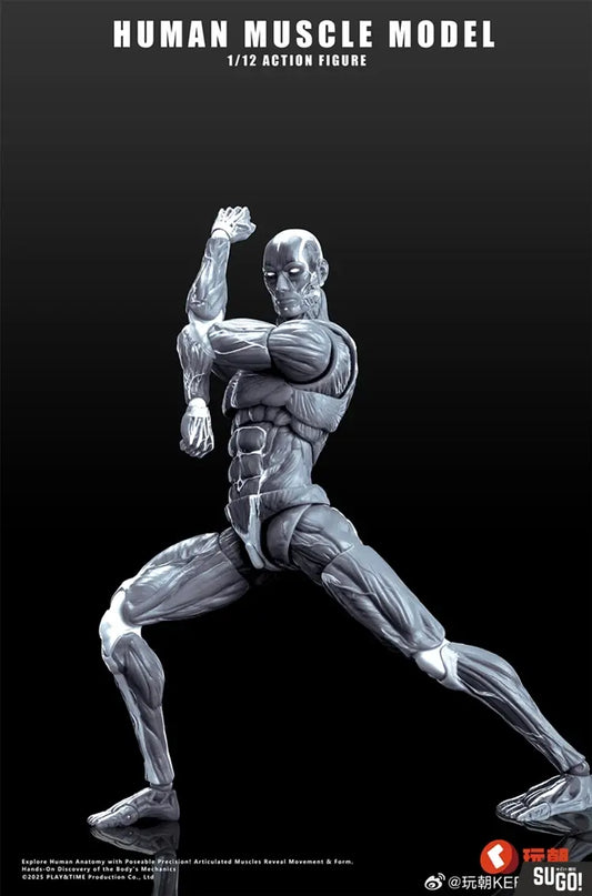 Keepgoing Human Muscle Model 1/12 Action Figure (Grey)
